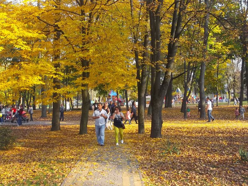 © Andrei  Kolyaskin - Autumn  in  Ivano - Frankivsk  City , Ukraine .