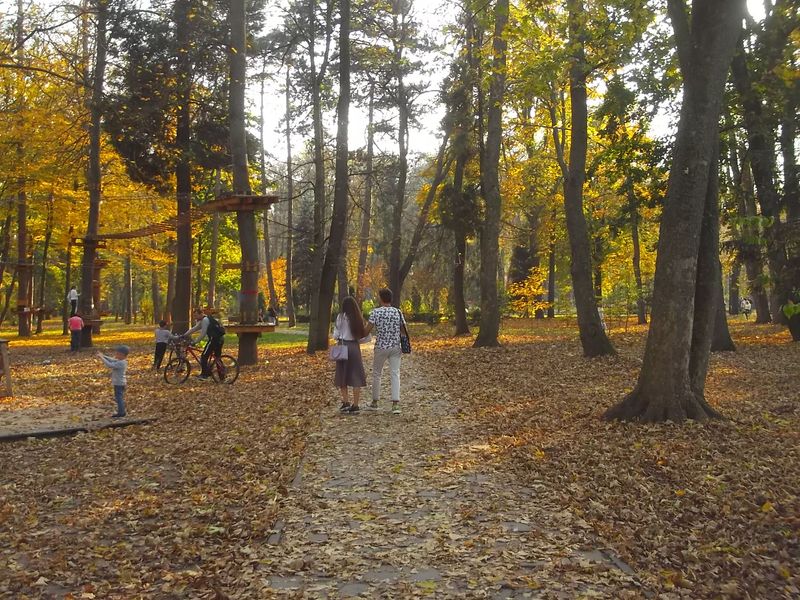 © Andrei  Kolyaskin - Autumn  in  Ivano - Frankivsk  City , Ukraine .