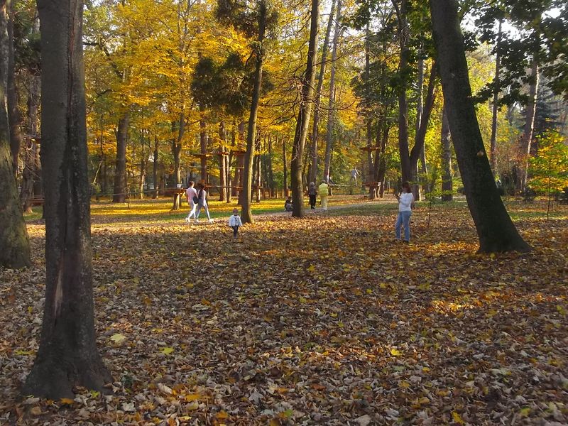 © Andrei  Kolyaskin - Autumn  in  Ivano - Frankivsk  City , Ukraine .
