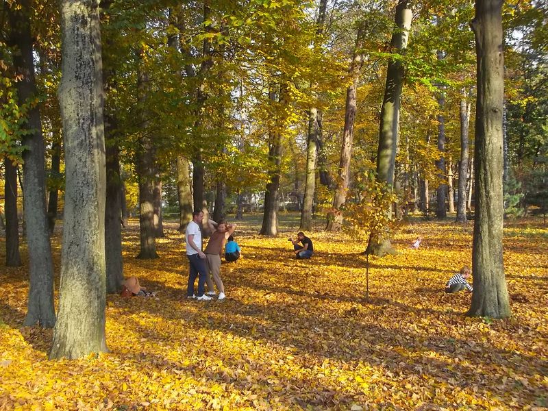 © Andrei  Kolyaskin - Autumn  in  Ivano - Frankivsk  City , Ukraine .