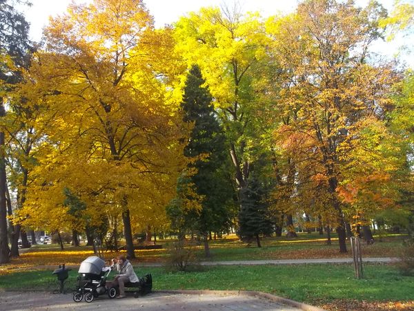 © Andrei  Kolyaskin - Autumn  in  Ivano - Frankivsk  City , Ukraine .