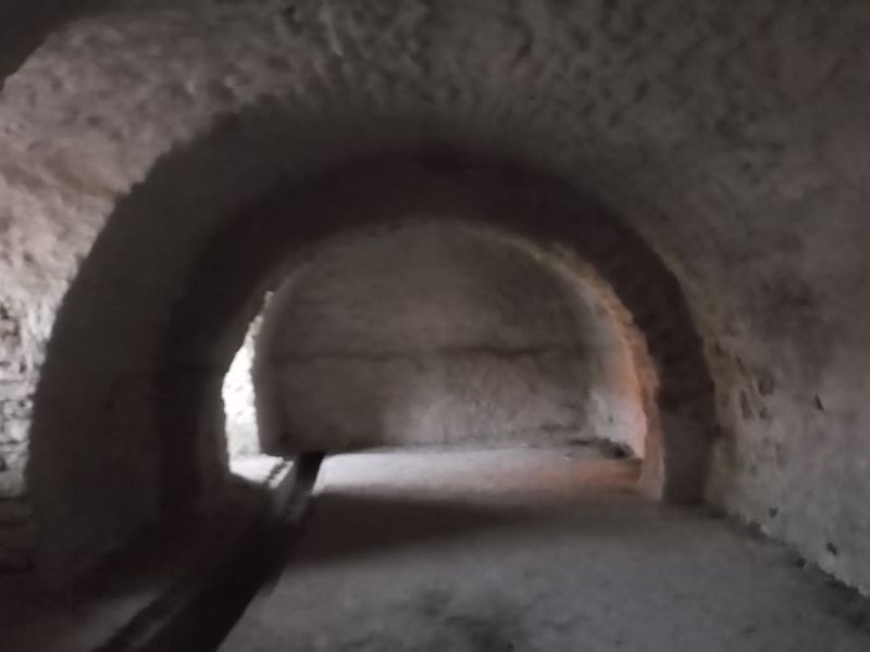 © Andrei  Kolyaskin - On  the  territory  of  Svirzh  Castle  from  15th  century  in  village  Svirzh  of  Lviv  region , Ukraine .