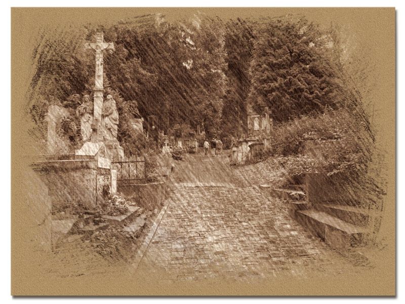 © Andrei  Kolyaskin - On  the  Lychakivske  cemetery  of  Lviv  City , Ukraine .