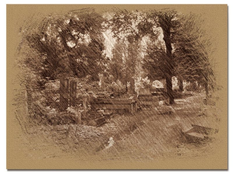 © Andrei  Kolyaskin - On  the  Lychakivske  cemetery  of  Lviv  City , Ukraine .