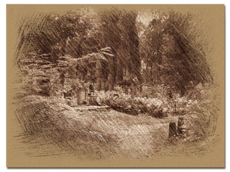 © Andrei  Kolyaskin - On  the  Lychakivske  cemetery  of  Lviv  City , Ukraine .