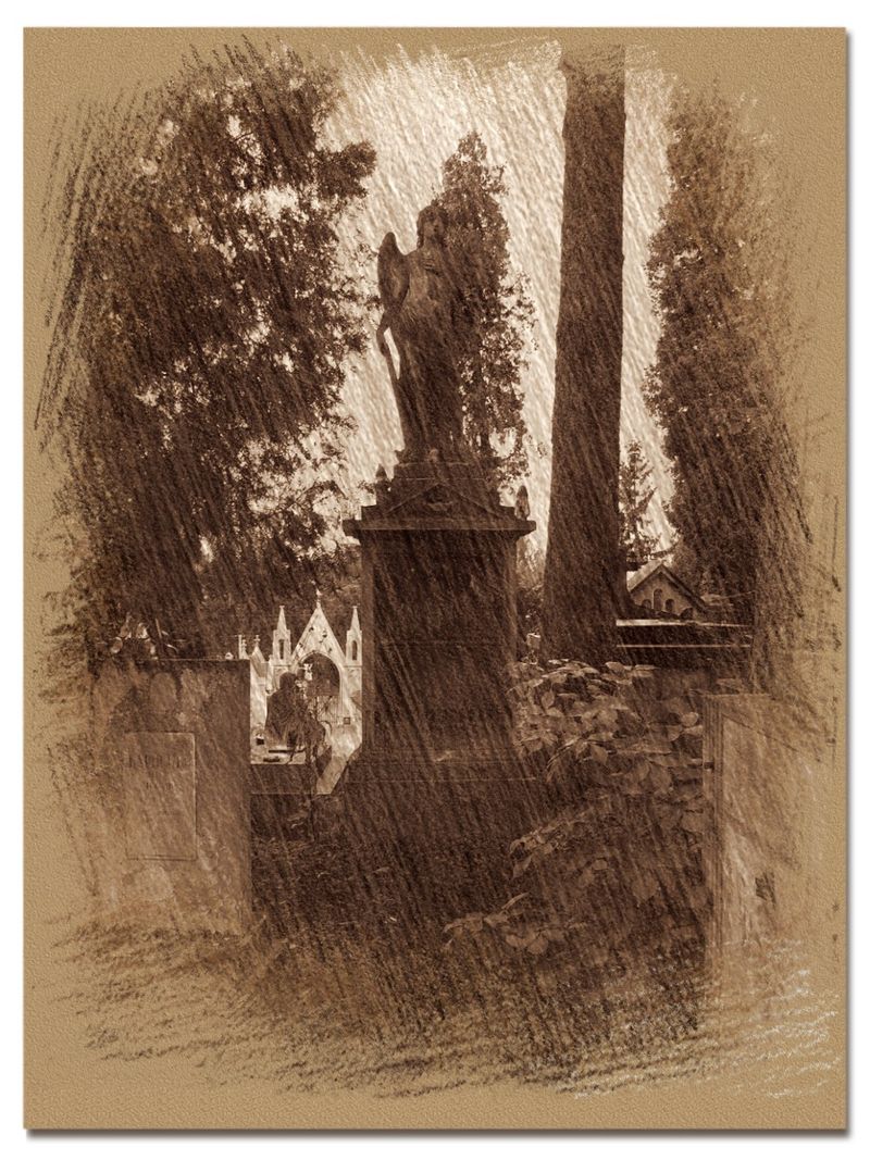 © Andrei  Kolyaskin - On  the  Lychakivske  cemetery  of  Lviv  City , Ukraine .