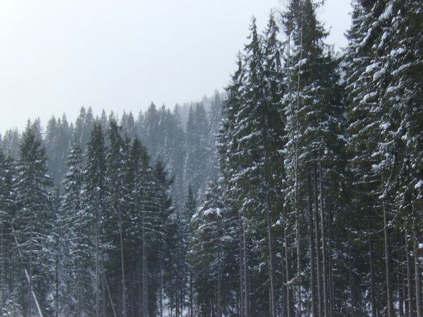 © Andrei  Kolyaskin - Image from the Bukovel  4 photography project