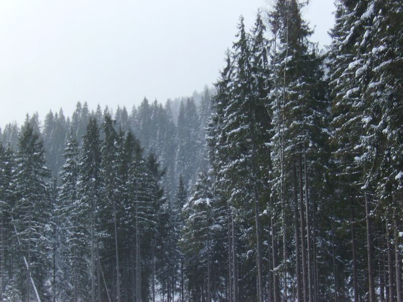 © Andrei  Kolyaskin - Image from the Bukovel  4 photography project