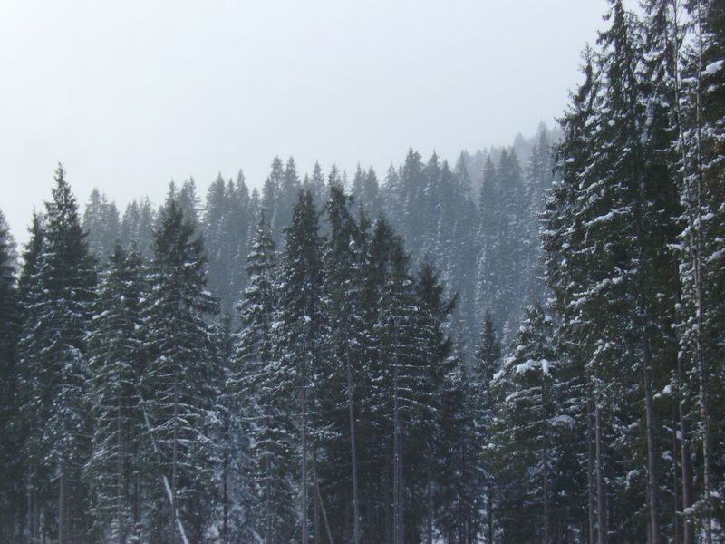 © Andrei  Kolyaskin - Image from the Bukovel  4 photography project