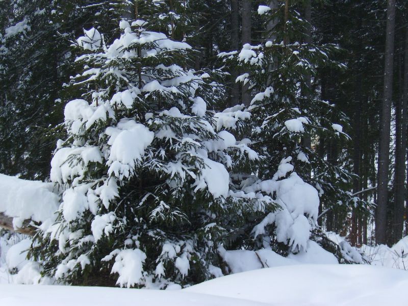 © Andrei  Kolyaskin - Image from the Bukovel  4 photography project