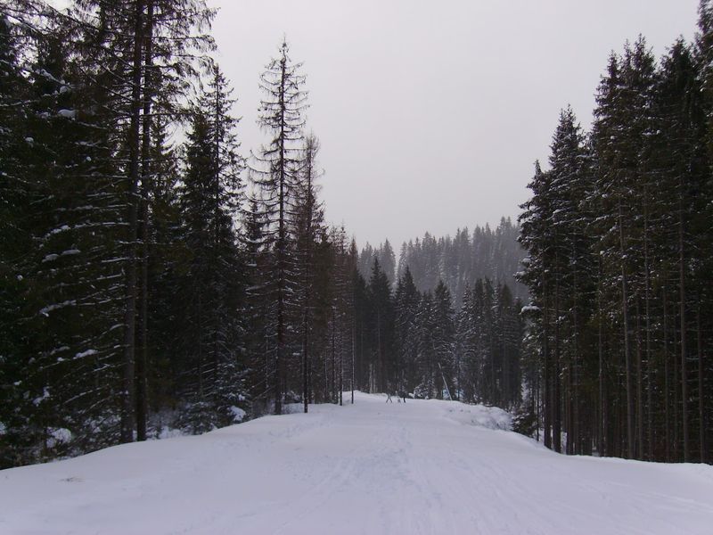 © Andrei  Kolyaskin - Image from the Bukovel  4 photography project