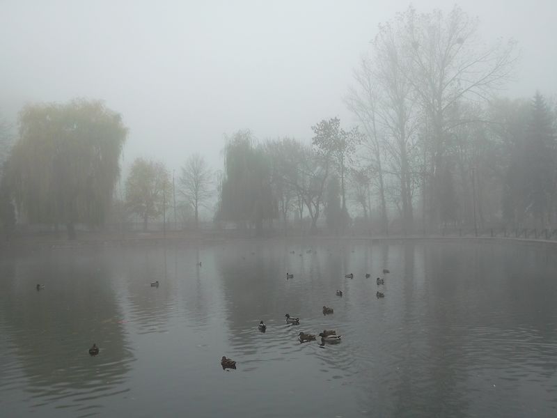 © Andrei  Kolyaskin - Foggy autumn morning on the central park of Ivano - Frankivsk City , Ukraine .