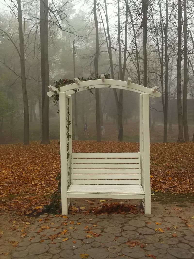 © Andrei  Kolyaskin - Foggy autumn morning on the central park of Ivano - Frankivsk City , Ukraine .