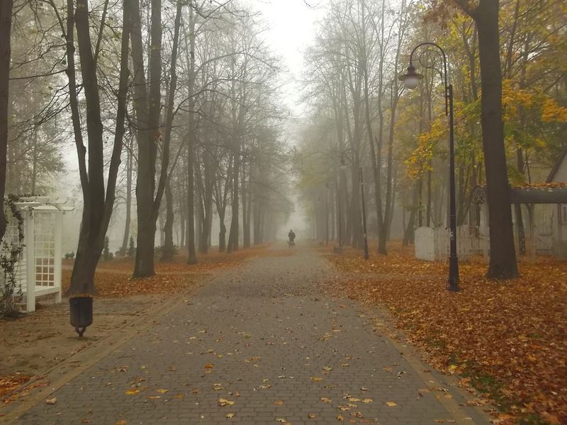 © Andrei  Kolyaskin - Foggy autumn morning on the central park of Ivano - Frankivsk City , Ukraine .