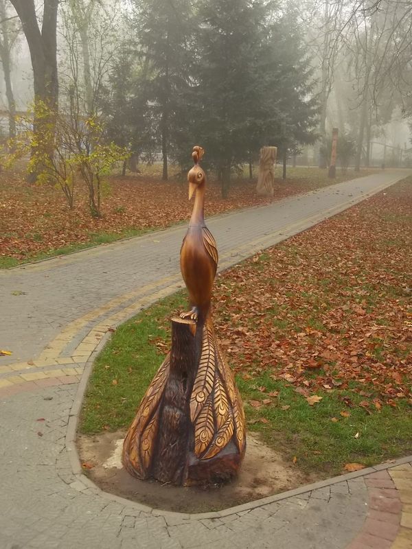 © Andrei  Kolyaskin - Foggy autumn morning on the central park of Ivano - Frankivsk City , Ukraine .
