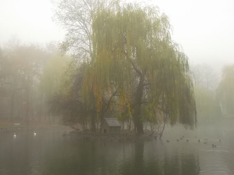 © Andrei  Kolyaskin - Foggy autumn morning on the central park of Ivano - Frankivsk City , Ukraine .