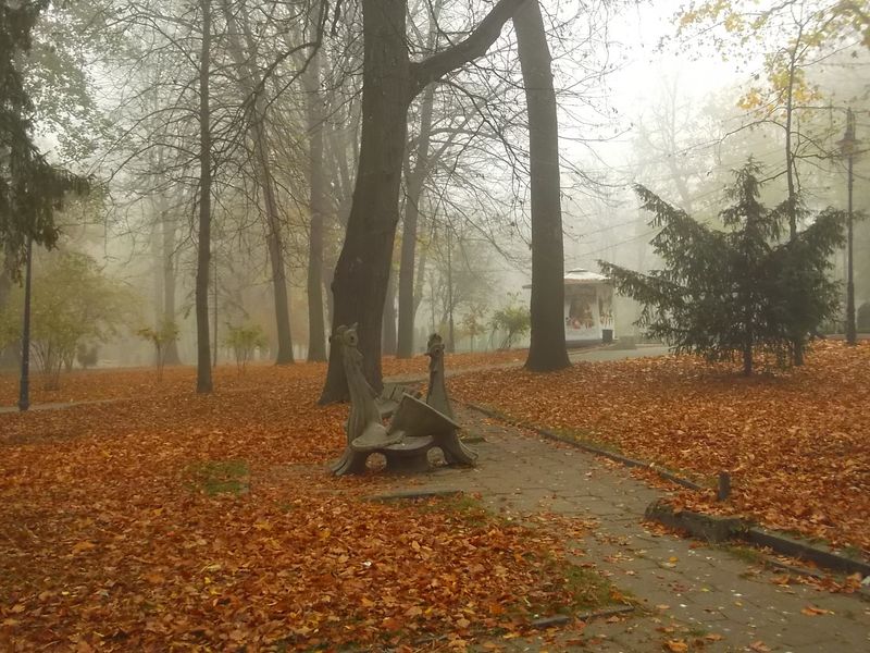 © Andrei  Kolyaskin - Foggy autumn morning on the central park of Ivano - Frankivsk City , Ukraine .