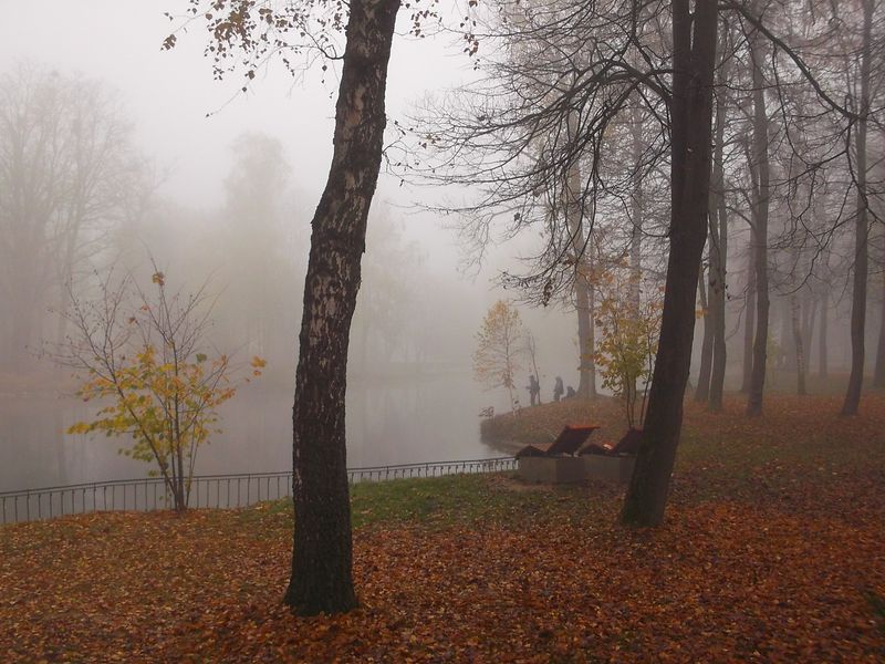 © Andrei  Kolyaskin - Foggy autumn morning on the central park of Ivano - Frankivsk City , Ukraine .