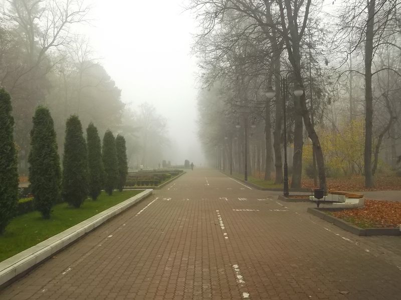 © Andrei  Kolyaskin - Foggy autumn morning on the central park of Ivano - Frankivsk City , Ukraine .