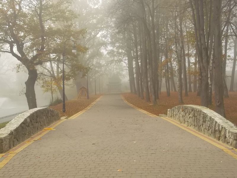 © Andrei  Kolyaskin - Image from the Autumn  in  Ivano - Frankivsk  City  4 photography project