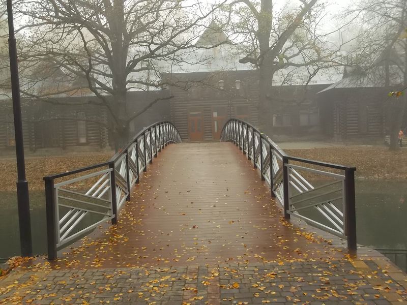 © Andrei  Kolyaskin - Foggy autumn morning on the central park of Ivano - Frankivsk City , Ukraine .