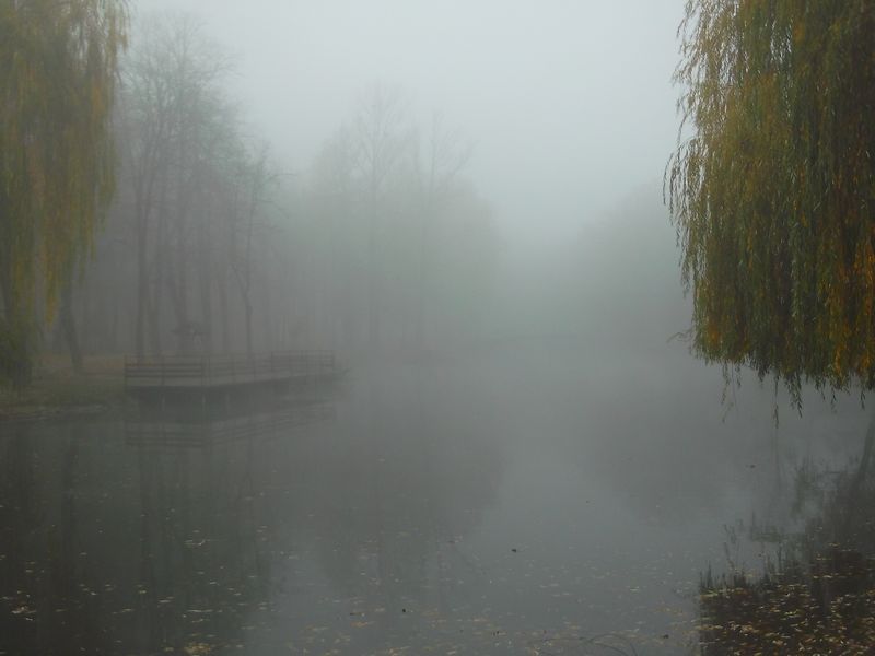 © Andrei  Kolyaskin - Foggy autumn morning on the central park of Ivano - Frankivsk City , Ukraine .