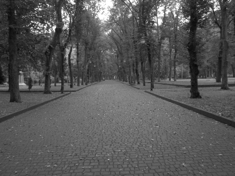 © Andrei  Kolyaskin - Alley  on  the  central   park  of  Ivano - Frankivsk  City , Ukraine .