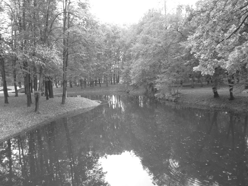© Andrei  Kolyaskin - Pond  on  the  central  park  of  Ivano - Frankivsk  City , Ukraine .
