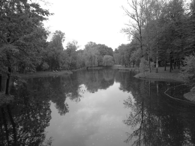 © Andrei  Kolyaskin - Pond  on  the  central  park  of  Ivano - Frankivsk  City , Ukraine .
