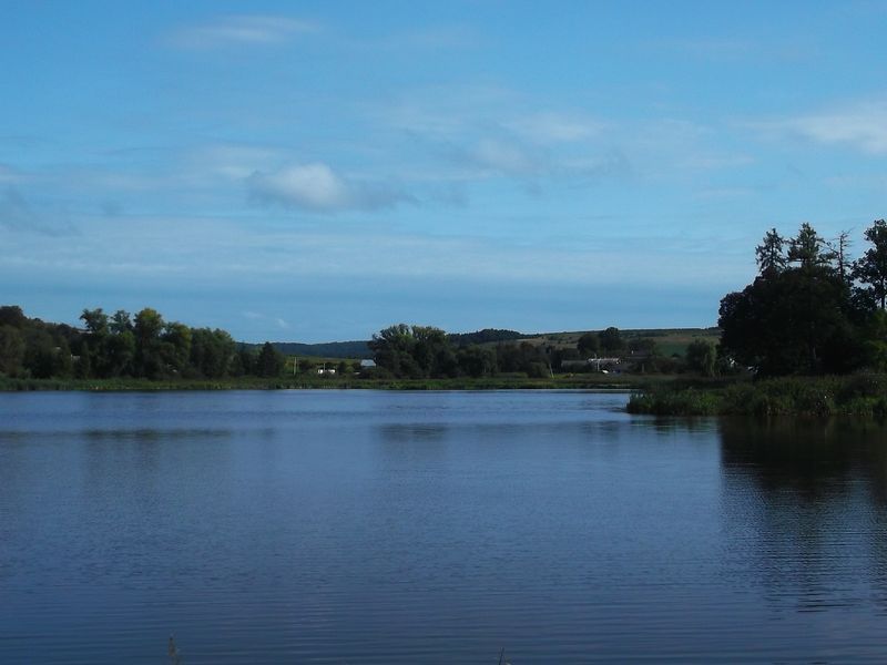 © Andrei  Kolyaskin - Lake  near  Svirzh  Castle  from  15th  century  in  village  Svirzh  of  Lviv  region , Uktaine .