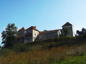 Svirzh  Castle 3