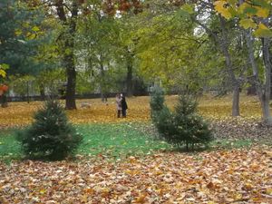 Autumn  in  Ivano - Frankivsk  City 5