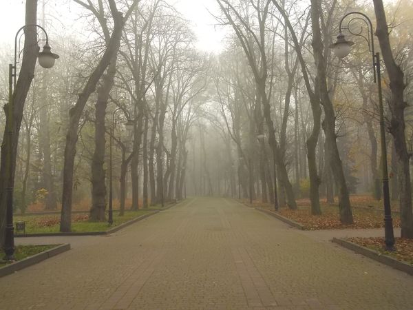 © Andrei  Kolyaskin - Foggy autumn morning on the central park of Ivano - Frankivsk City , Ukraine .