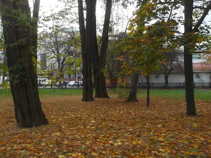 © Andrei  Kolyaskin - Autumn on the  Memorial  Square of Ivano - Frankivsk City , Ukraine .