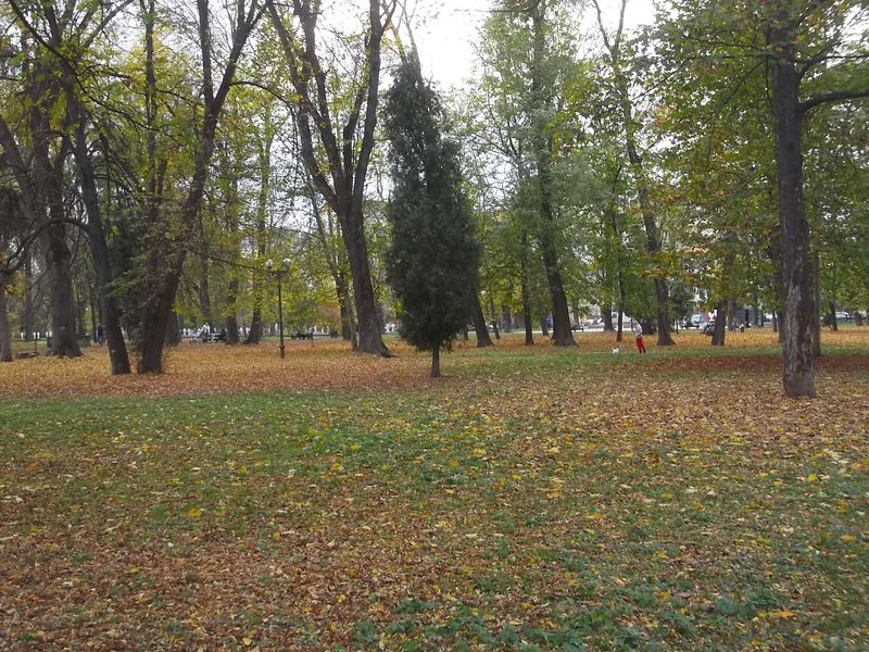 © Andrei  Kolyaskin - Autumn on the  Memorial  Square of Ivano - Frankivsk City , Ukraine .