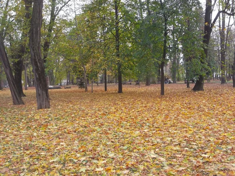 © Andrei  Kolyaskin - Autumn on the  Memorial  Square of Ivano - Frankivsk City , Ukraine .
