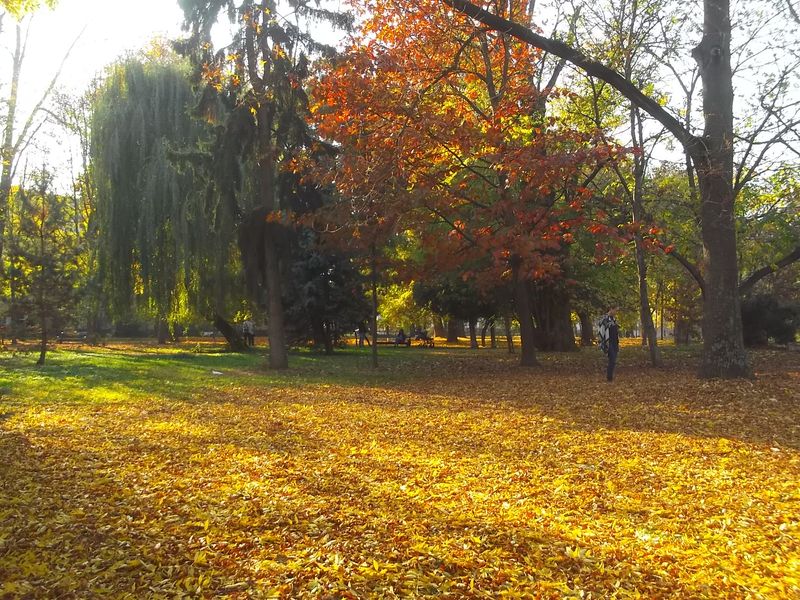 © Andrei  Kolyaskin - Autumn on the  Memorial  Square of Ivano - Frankivsk City , Ukraine .