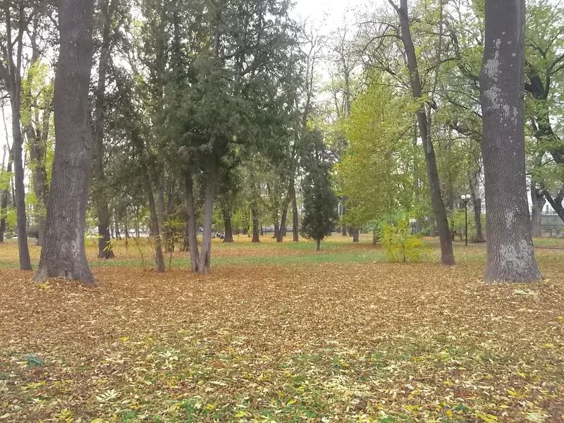© Andrei  Kolyaskin - Autumn on the  Memorial  Square of Ivano - Frankivsk City , Ukraine .