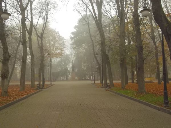 © Andrei  Kolyaskin - Foggy autumn morning on the central park of Ivano - Frankivsk City , Ukraine .