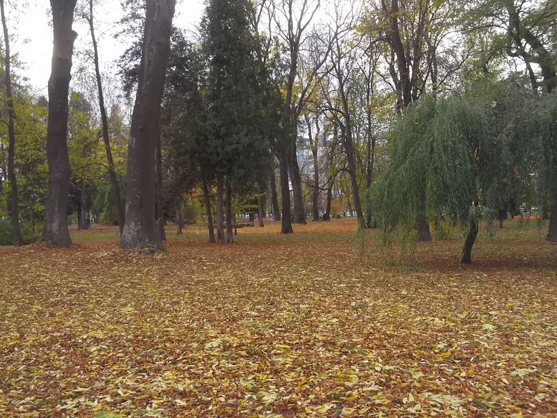© Andrei  Kolyaskin - Autumn on the  Memorial  Square of Ivano - Frankivsk City , Ukraine .
