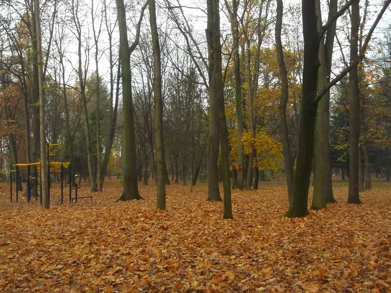 © Andrei  Kolyaskin - Autumn on the  central  park  of Ivano - Frankivsk City , Ukraine .