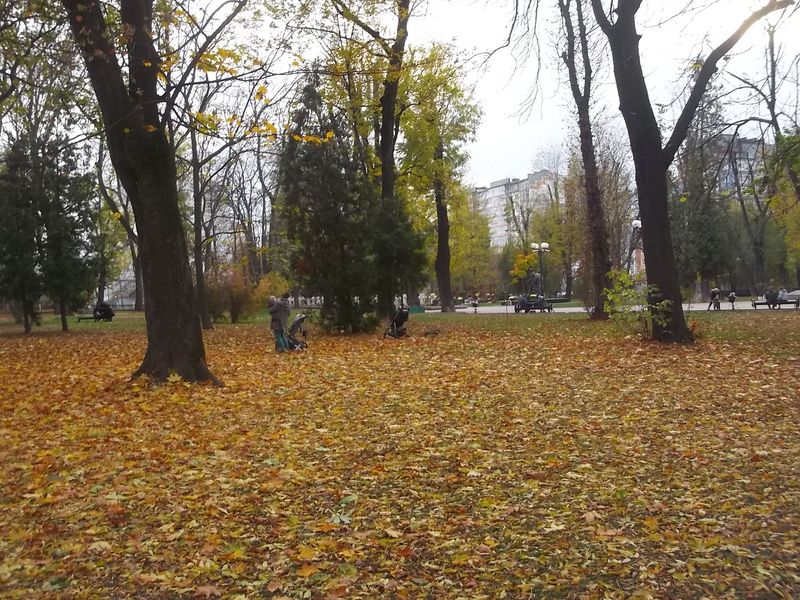© Andrei  Kolyaskin - Autumn on the  Memorial  Square of Ivano - Frankivsk City , Ukraine .