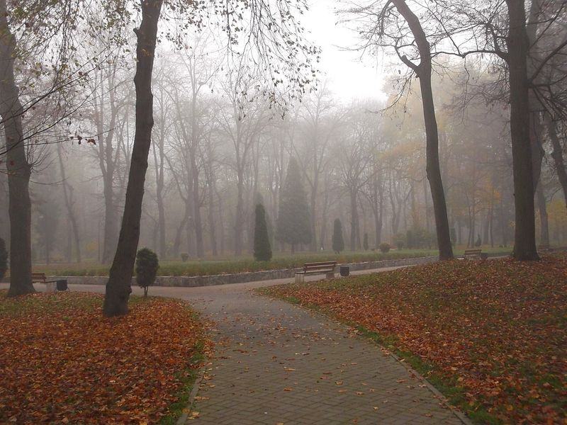 © Andrei  Kolyaskin - Foggy autumn morning on the central park of Ivano - Frankivsk City , Ukraine .