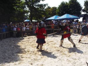 Festival  Galician  Chivalry  in  Galych 12
