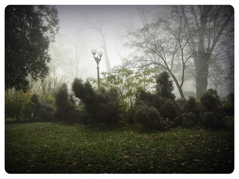 © Andrei  Kolyaskin - Foggy  autumn  morning  on  the  Memorial  Square  of  Ivano - Frankivsk  City , Ukraine .