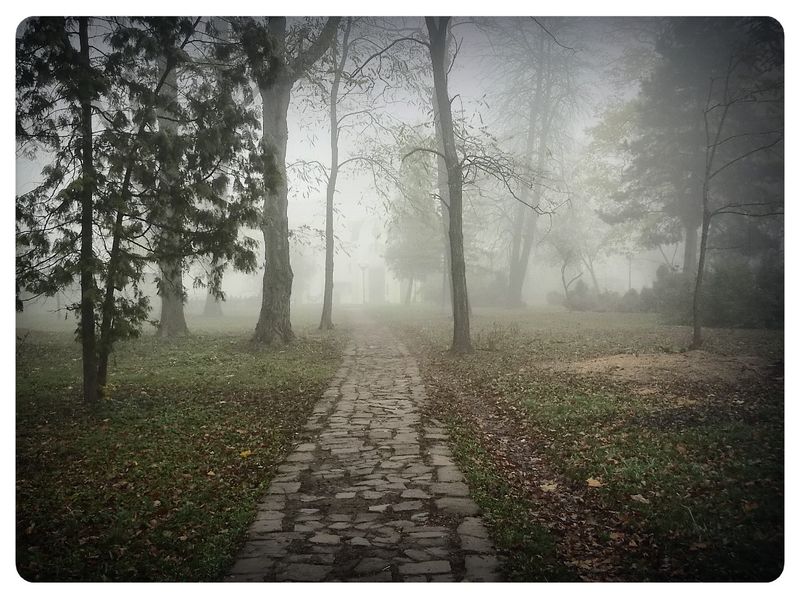 © Andrei  Kolyaskin - Foggy  autumn  morning  on  the  Memorial  Square  of  Ivano - Frankivsk  City , Ukraine .