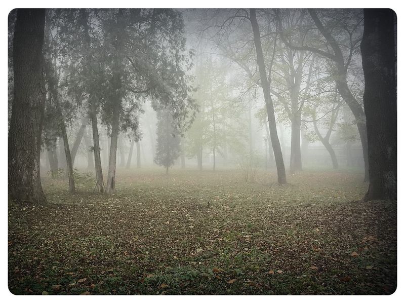 © Andrei  Kolyaskin - Foggy  autumn  morning  on  the  Memorial  Square  of  Ivano - Frankivsk  City , Ukraine .
