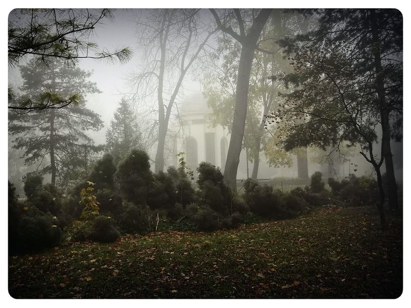 © Andrei  Kolyaskin - Image from the Foggy  morning  in  Ivano - Frankivsk  City photography project