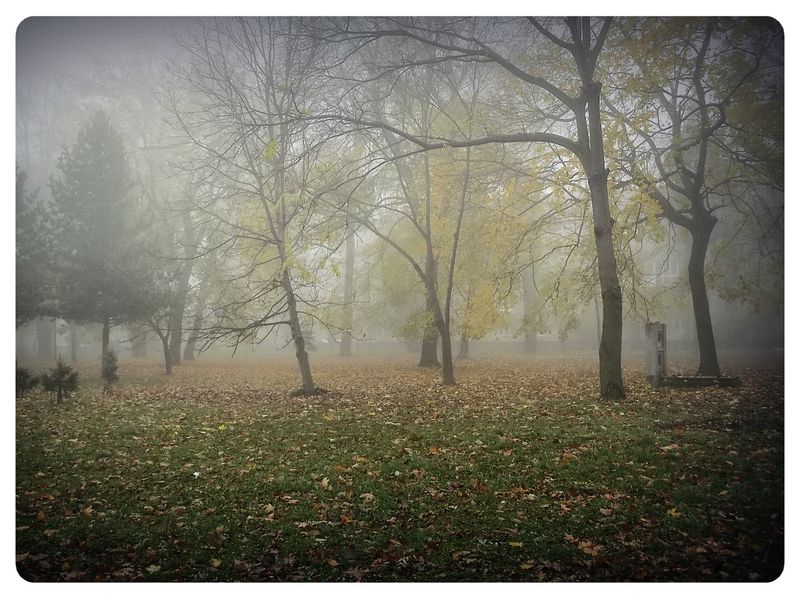 © Andrei  Kolyaskin - Foggy  autumn  morning  on  the  Memorial  Square  of  Ivano - Frankivsk  City , Ukraine .