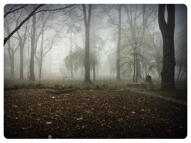 © Andrei  Kolyaskin - Foggy  autumn  morning  on  the  Memorial  Square  of  Ivano - Frankivsk  City , Ukraine .